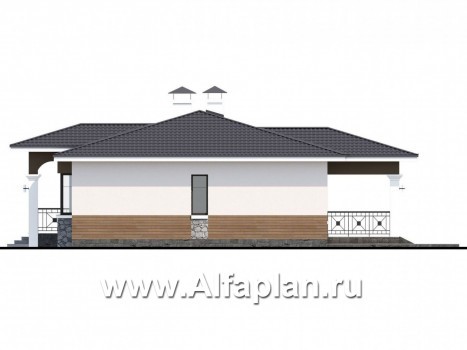 Проекты домов Альфаплан - Одноэтажный дом для небольшой семьи - превью фасада №2